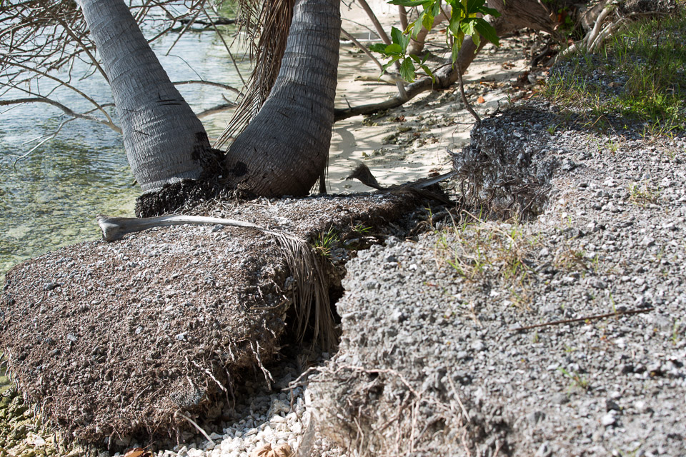 3L9A6905.jpg Iles sous le vent - Maupiti - Copyright : See Otherwise 2012 - 2025