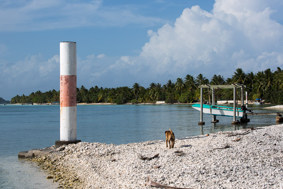 3L9A6921.jpg Iles sous le vent - Maupiti - Copyright : See Otherwise 2012 - 2024