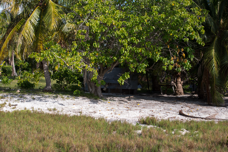 3L9A6925.jpg Iles sous le vent - Maupiti - Copyright : See Otherwise 2012 - 2025