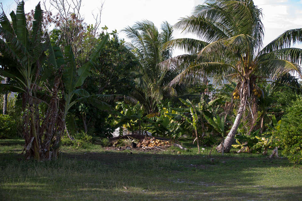 3L9A6976.jpg Iles sous le vent - Maupiti - Copyright : See Otherwise 2012 - 2025