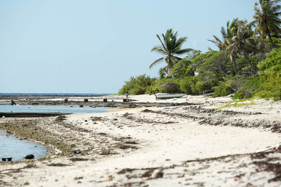 3L9A7051.jpg Iles sous le vent - Maupiti - Copyright : See Otherwise 2012 - 2025