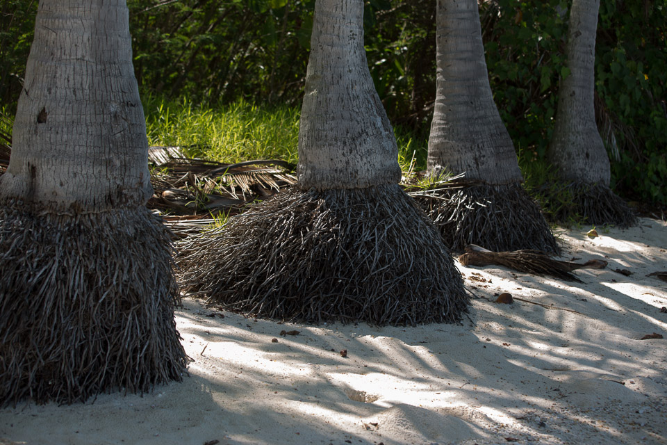 3L9A7197.jpg Iles sous le vent - Maupiti - Copyright : See Otherwise 2012 - 2025