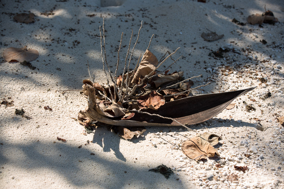 3L9A7208.jpg Iles sous le vent - Maupiti - Copyright : See Otherwise 2012 - 2025