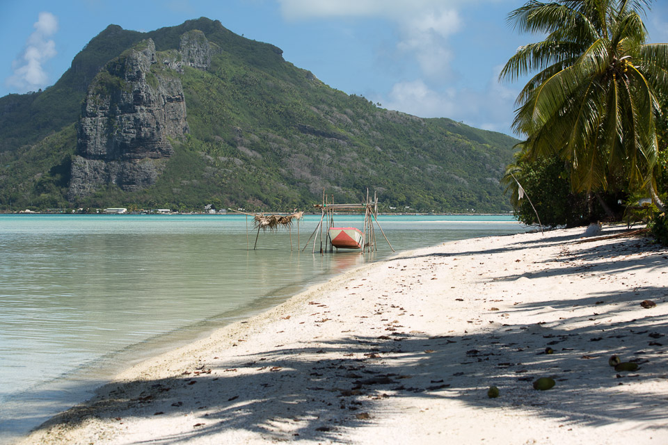 3L9A7209.jpg Iles sous le vent - Maupiti - Copyright : See Otherwise 2012 - 2025