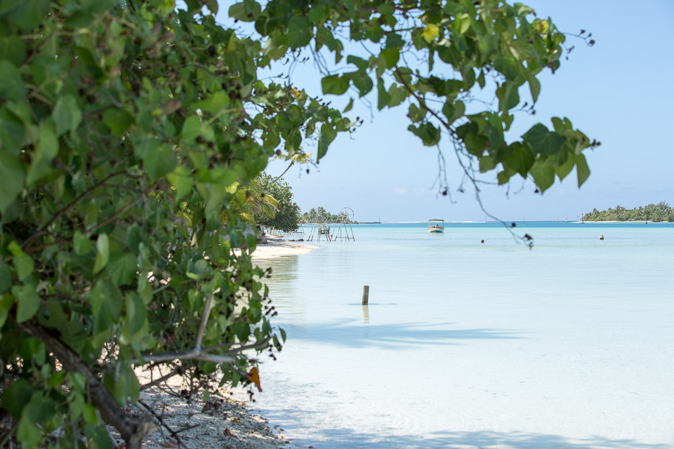3L9A7221.jpg Iles sous le vent - Maupiti - Copyright : See Otherwise 2012 - 2025
