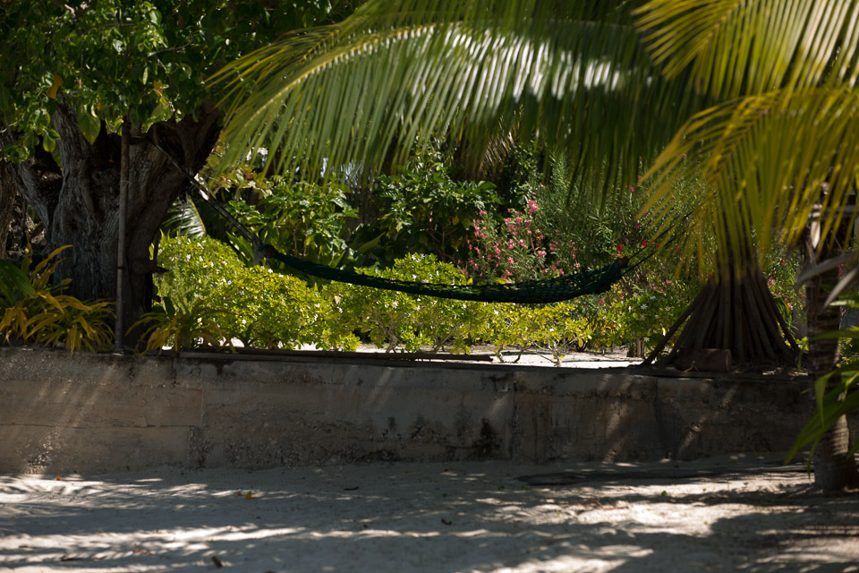 3L9A7238.jpg Iles sous le vent - Maupiti - Copyright : See Otherwise 2012 - 2025