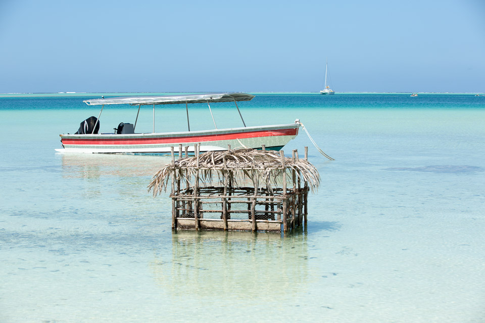 3L9A7240.jpg Iles sous le vent - Maupiti - Copyright : See Otherwise 2012 - 2025