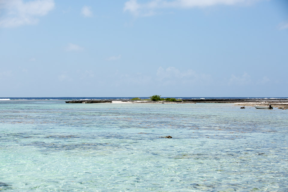 3L9A7409.jpg Iles sous le vent - Maupiti - Copyright : See Otherwise 2012 - 2025
