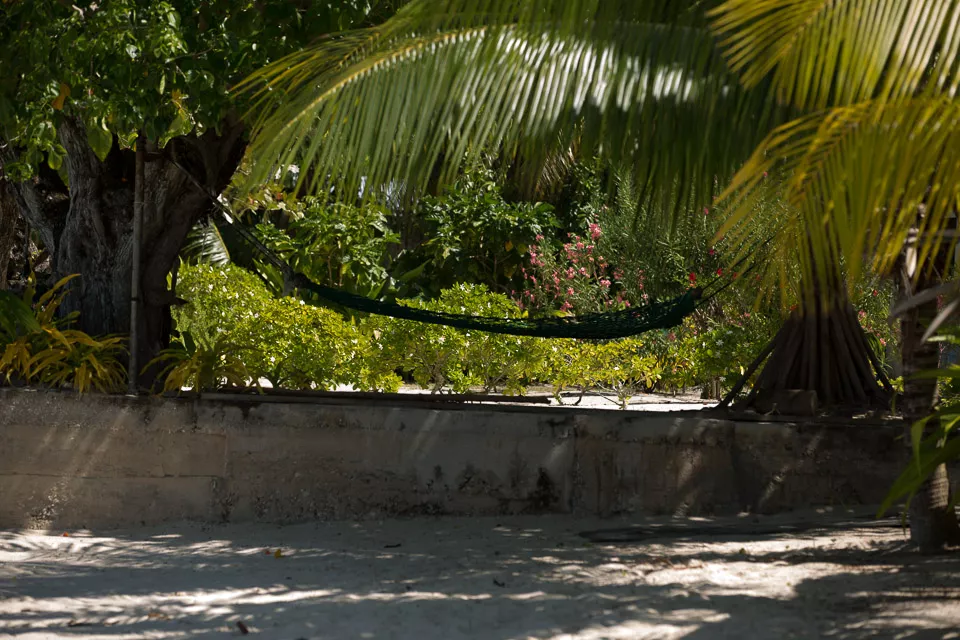 3L9A7238.jpg Iles sous le vent - Maupiti - Copyright : See Otherwise 2012 - 2025