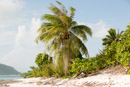 Iles sous le vent - Maupiti - Copyright : See Otherwise 2012 - 2025