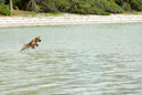 Iles sous le vent - Maupiti - Copyright : See Otherwise 2012 - 2023