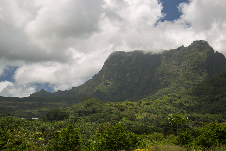 3L9A6016.jpg Iles sous le vent - Raiatea - Copyright : See Otherwise 2012 - 2025