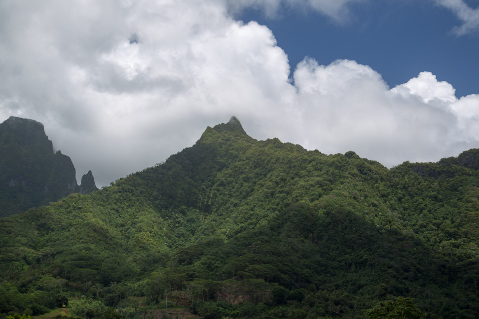 3L9A6024.jpg Iles sous le vent - Raiatea - Copyright : See Otherwise 2012 - 2024