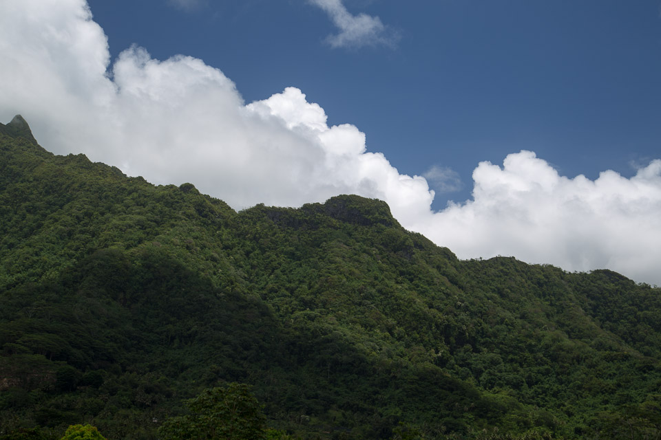 3L9A6025.jpg Iles sous le vent - Raiatea - Copyright : See Otherwise 2012 - 2025