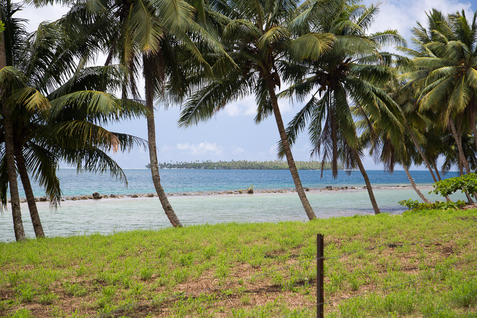 3L9A6030.jpg Iles sous le vent - Raiatea - Copyright : See Otherwise 2012 - 2024