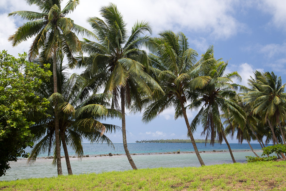 3L9A6034.jpg Iles sous le vent - Raiatea - Copyright : See Otherwise 2012 - 2025