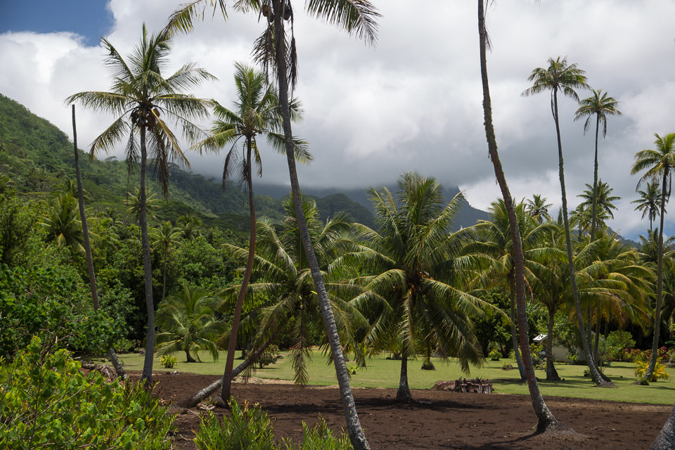 3L9A6044.jpg Iles sous le vent - Raiatea - Copyright : See Otherwise 2012 - 2025