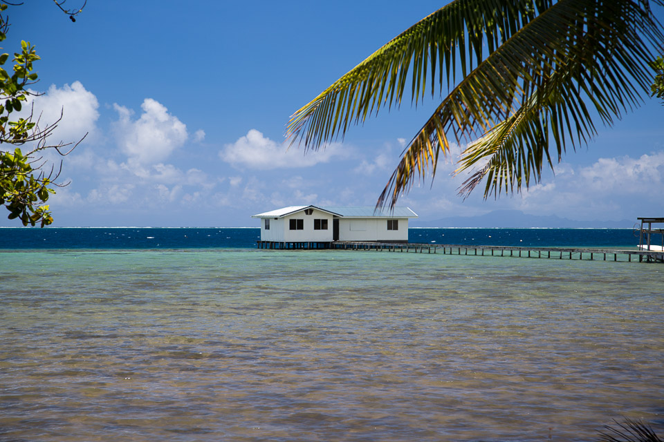 3L9A6047.jpg Iles sous le vent - Raiatea - Copyright : See Otherwise 2012 - 2025