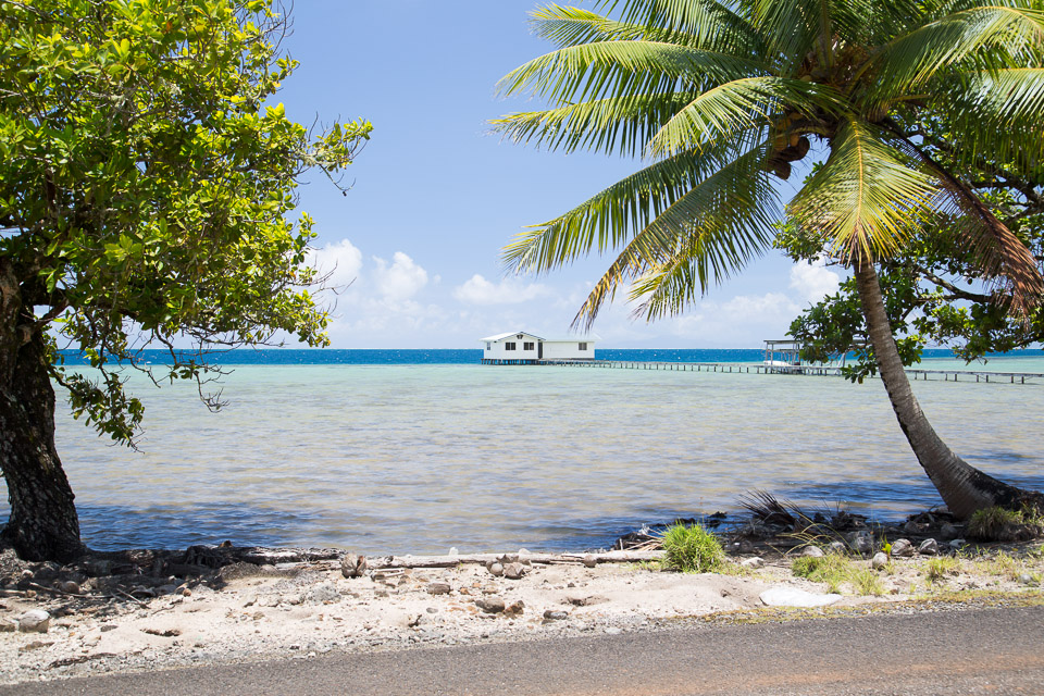 3L9A6049.jpg Iles sous le vent - Raiatea - Copyright : See Otherwise 2012 - 2025