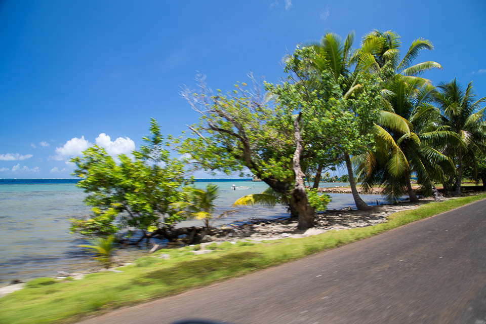 3L9A6059.jpg Iles sous le vent - Raiatea - Copyright : See Otherwise 2012 - 2025