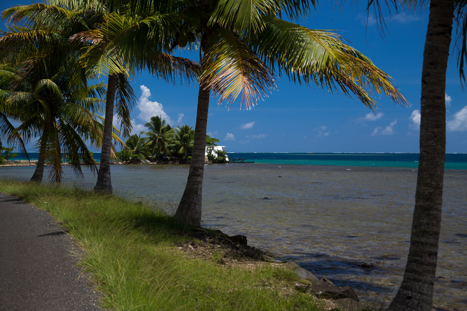 3L9A6067.jpg Iles sous le vent - Raiatea - Copyright : See Otherwise 2012 - 2025