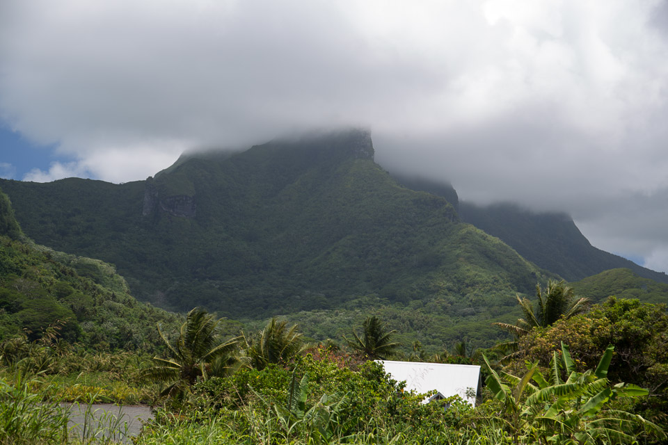 3L9A6084.jpg Iles sous le vent - Raiatea - Copyright : See Otherwise 2012 - 2025