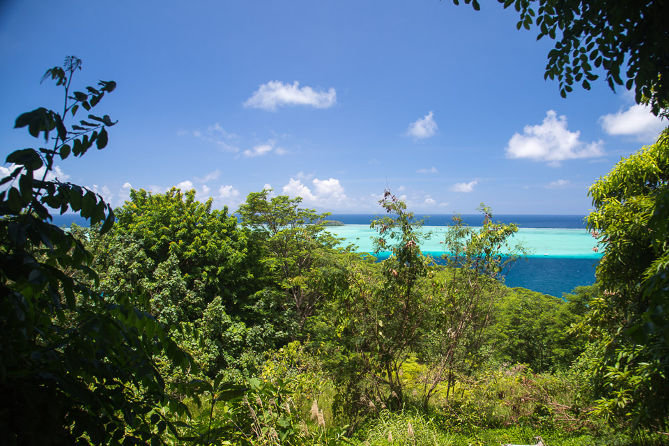 3L9A6092.jpg Iles sous le vent - Raiatea - Copyright : See Otherwise 2012 - 2025