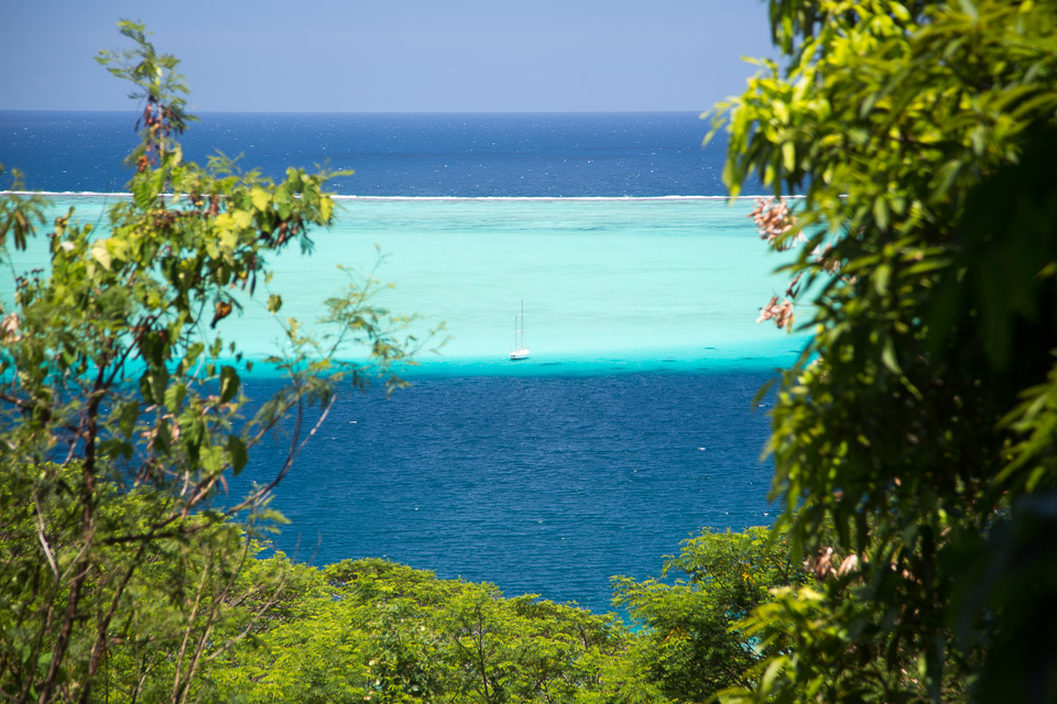 3L9A6094.jpg Iles sous le vent - Raiatea - Copyright : See Otherwise 2012 - 2025