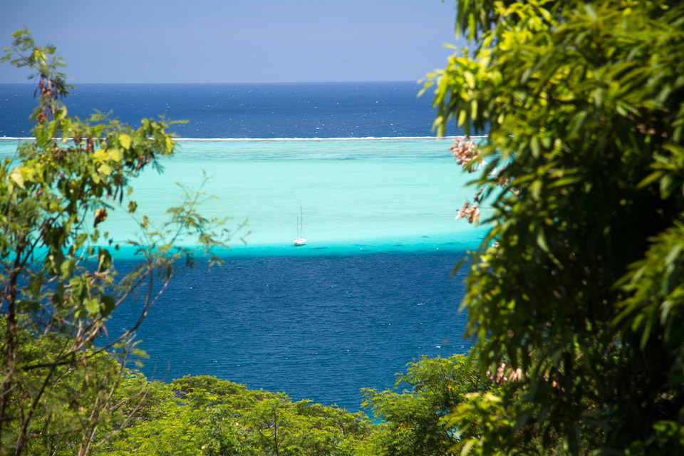 3L9A6096.jpg Iles sous le vent - Raiatea - Copyright : See Otherwise 2012 - 2025