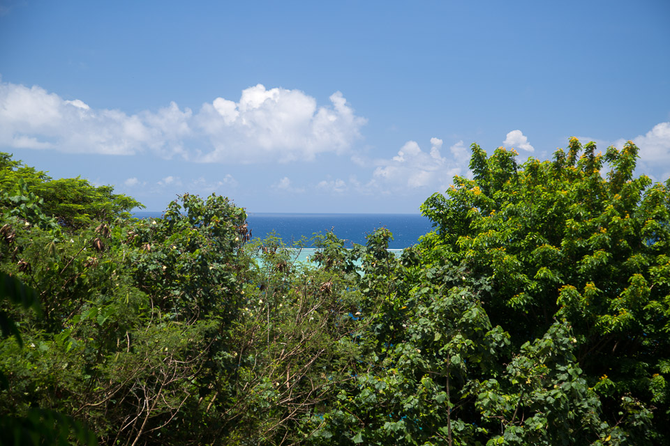 3L9A6099.jpg Iles sous le vent - Raiatea - Copyright : See Otherwise 2012 - 2025