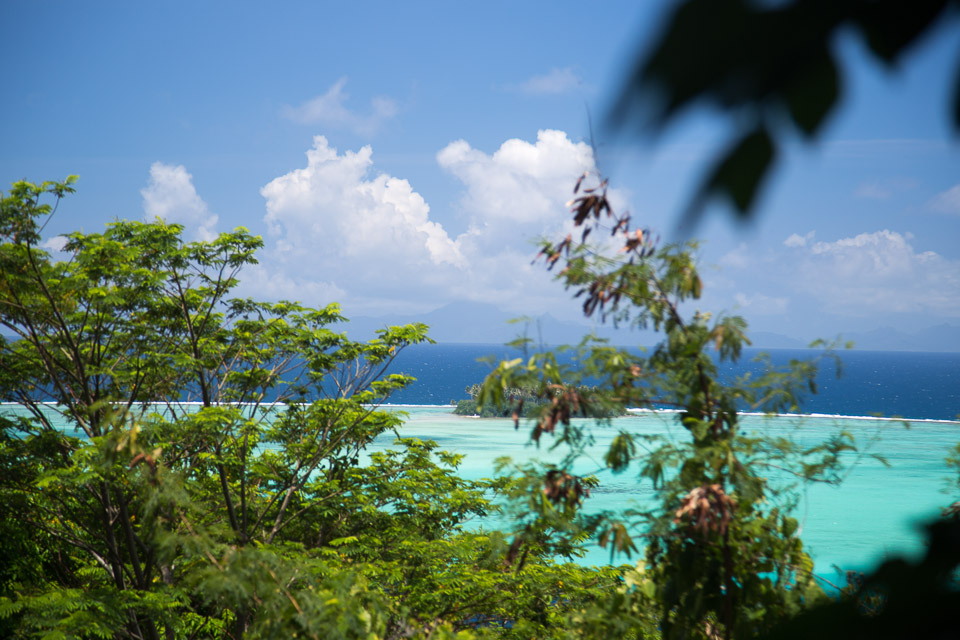 3L9A6101.jpg Iles sous le vent - Raiatea - Copyright : See Otherwise 2012 - 2025