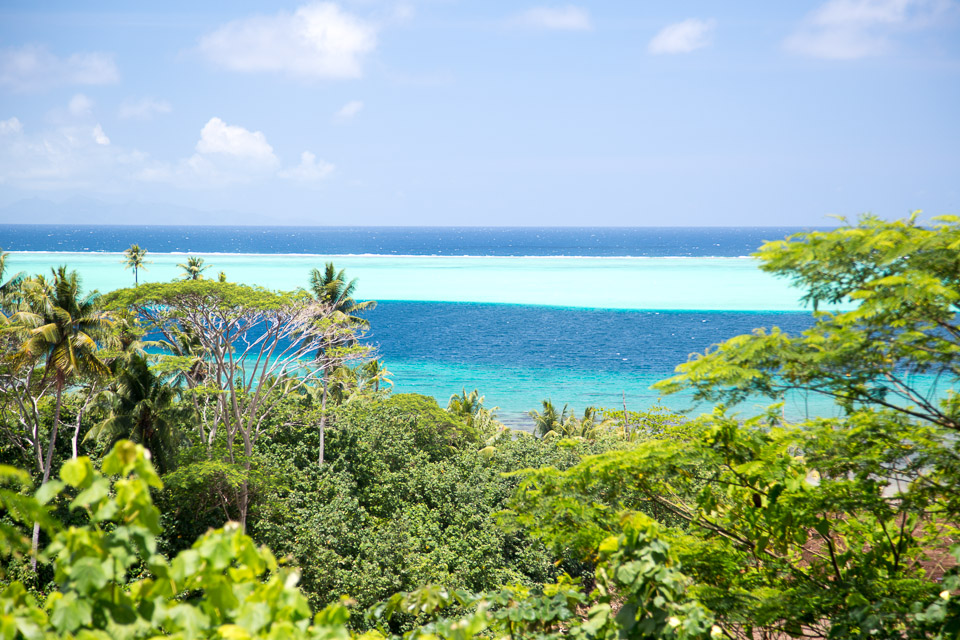 3L9A6102.jpg Iles sous le vent - Raiatea - Copyright : See Otherwise 2012 - 2025