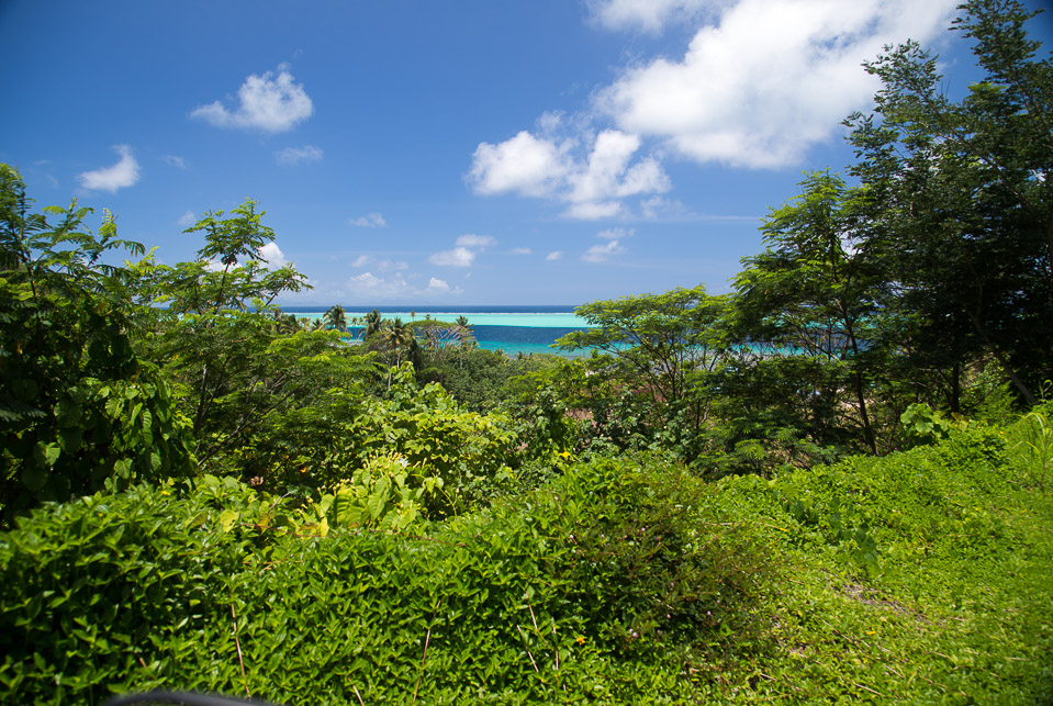 3L9A6106.jpg Iles sous le vent - Raiatea - Copyright : See Otherwise 2012 - 2025