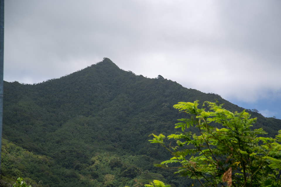 3L9A6134.jpg Iles sous le vent - Raiatea - Copyright : See Otherwise 2012 - 2025