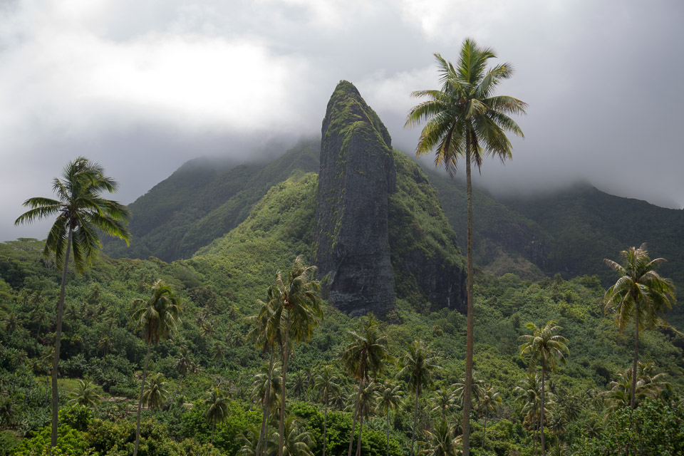 3L9A6144.jpg Iles sous le vent - Raiatea - Copyright : See Otherwise 2012 - 2024