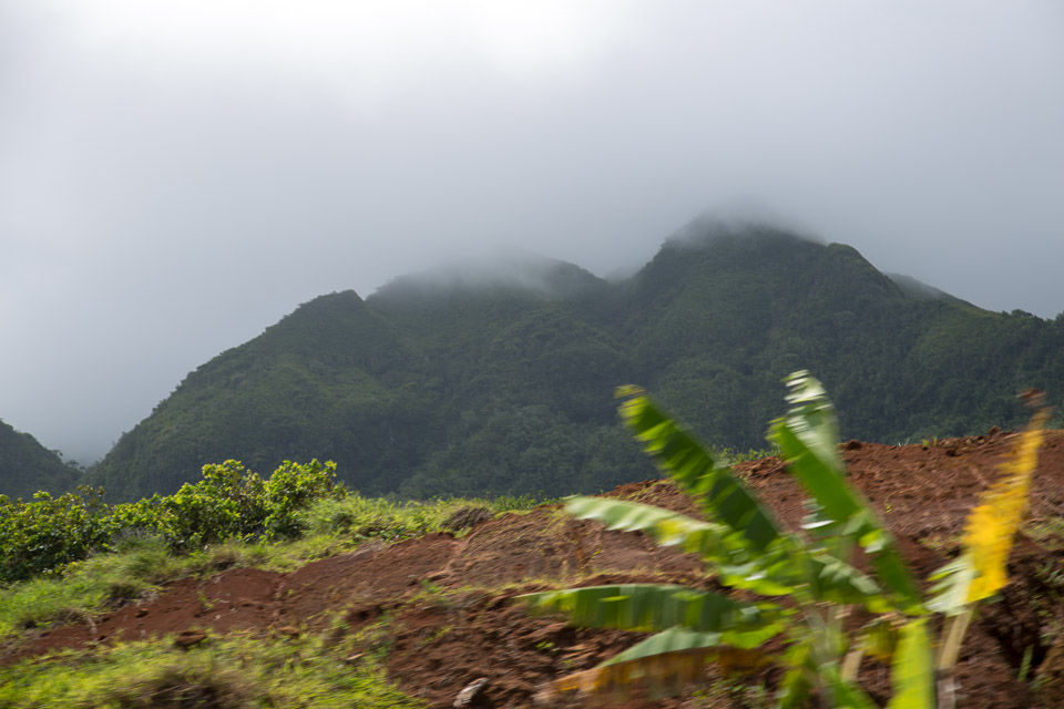3L9A6155.jpg Iles sous le vent - Raiatea - Copyright : See Otherwise 2012 - 2025