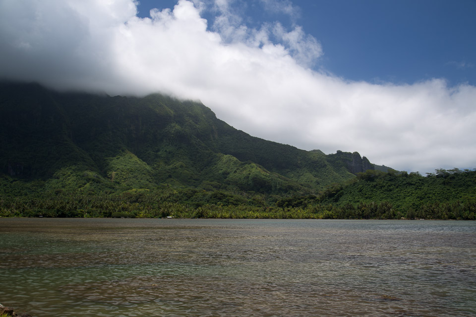 3L9A6169.jpg Iles sous le vent - Raiatea - Copyright : See Otherwise 2012 - 2024