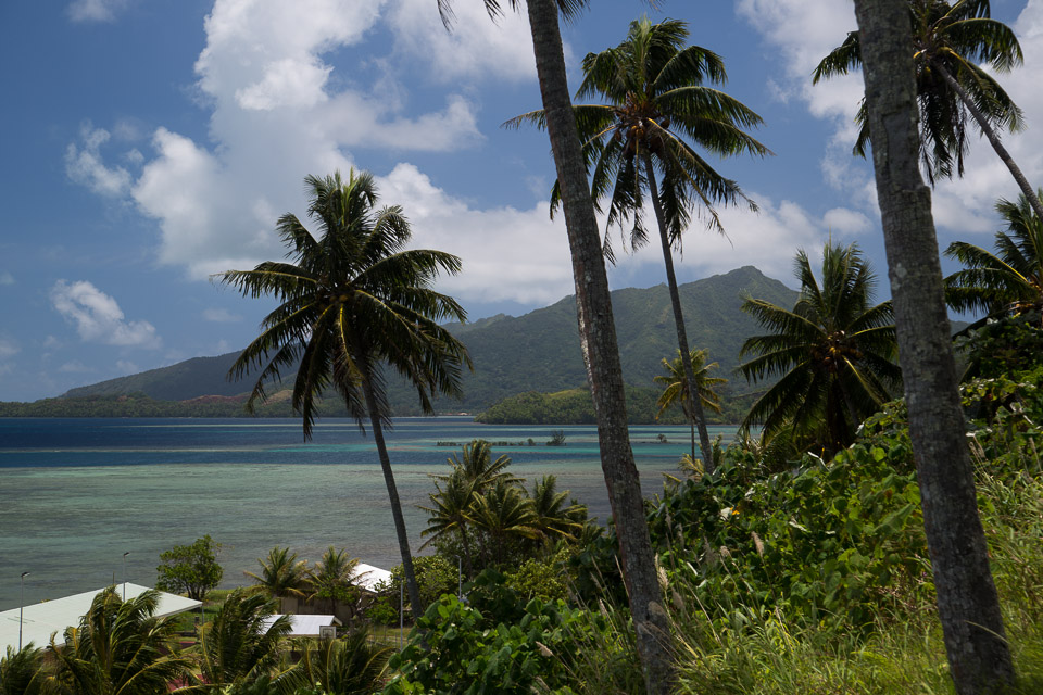 3L9A6184.jpg Iles sous le vent - Raiatea - Copyright : See Otherwise 2012 - 2025