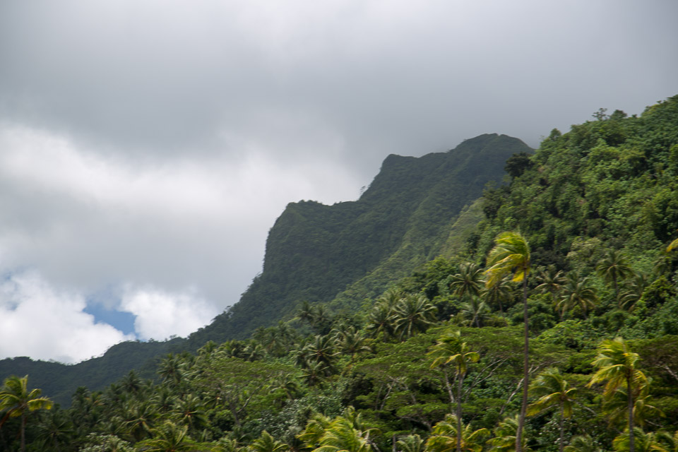 3L9A6229.jpg Iles sous le vent - Raiatea - Copyright : See Otherwise 2012 - 2025