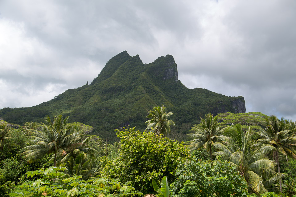 3L9A6278.jpg Iles sous le vent - Raiatea - Copyright : See Otherwise 2012 - 2025