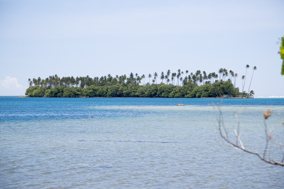 3L9A6291.jpg Iles sous le vent - Raiatea - Copyright : See Otherwise 2012 - 2025