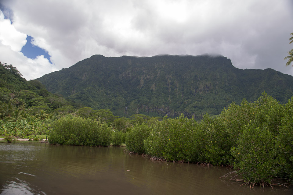 3L9A6294.jpg Iles sous le vent - Raiatea - Copyright : See Otherwise 2012 - 2025
