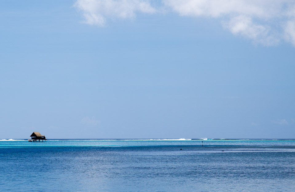 3L9A6300.jpg Iles sous le vent - Raiatea - Copyright : See Otherwise 2012 - 2024