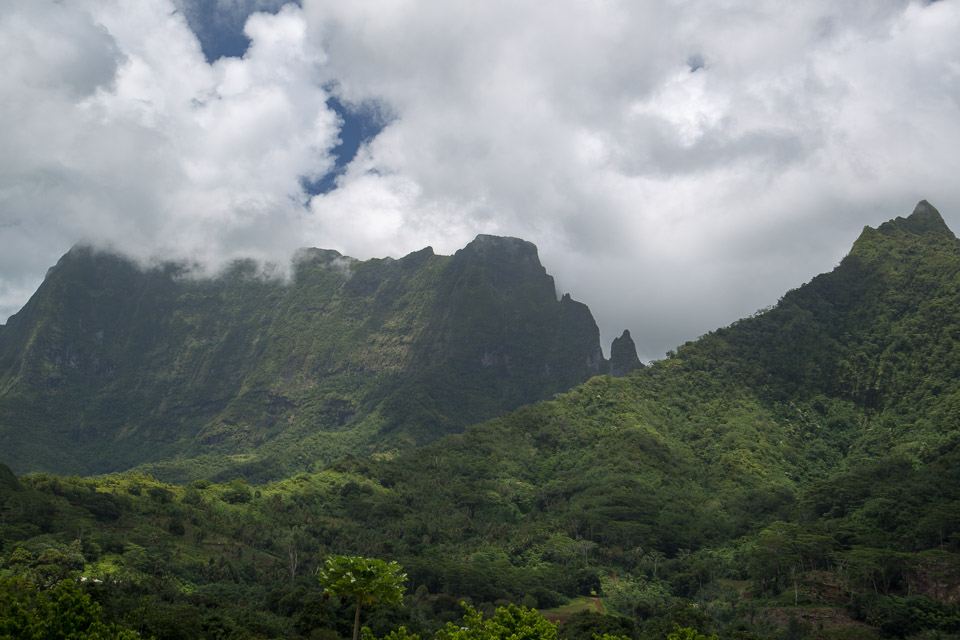 3L9A6026.jpg Iles sous le vent - Raiatea - Copyright : See Otherwise 2012 - 2025