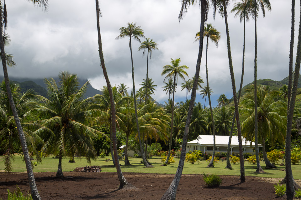 3L9A6043.jpg Iles sous le vent - Raiatea - Copyright : See Otherwise 2012 - 2025