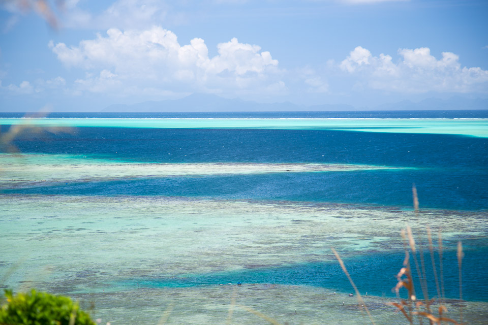 3L9A6108.jpg Iles sous le vent - Raiatea - Copyright : See Otherwise 2012 - 2025