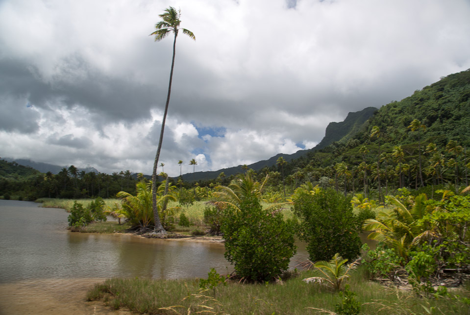 3L9A6219.jpg Iles sous le vent - Raiatea - Copyright : See Otherwise 2012 - 2025