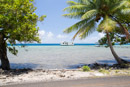 Iles sous le vent - Raiatea - Copyright : See Otherwise 2012 - 2023