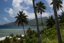 3L9A6184.jpg [Polynesie]Iles sous le vent - Raiatea - Copyright : See Otherwise 2012 - 2022