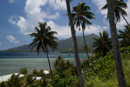 3L9A6184.jpg Iles sous le vent - Raiatea - Copyright : See Otherwise 2012 - 2023